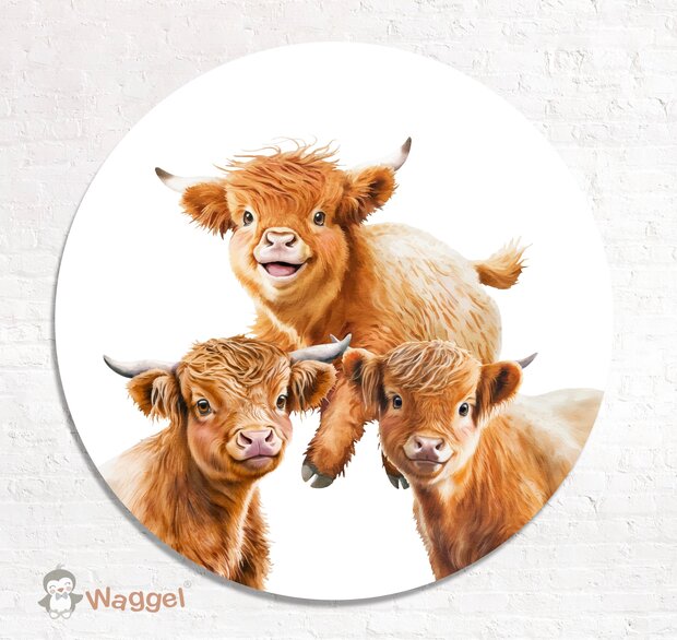 schotse hooglander muurcirkel