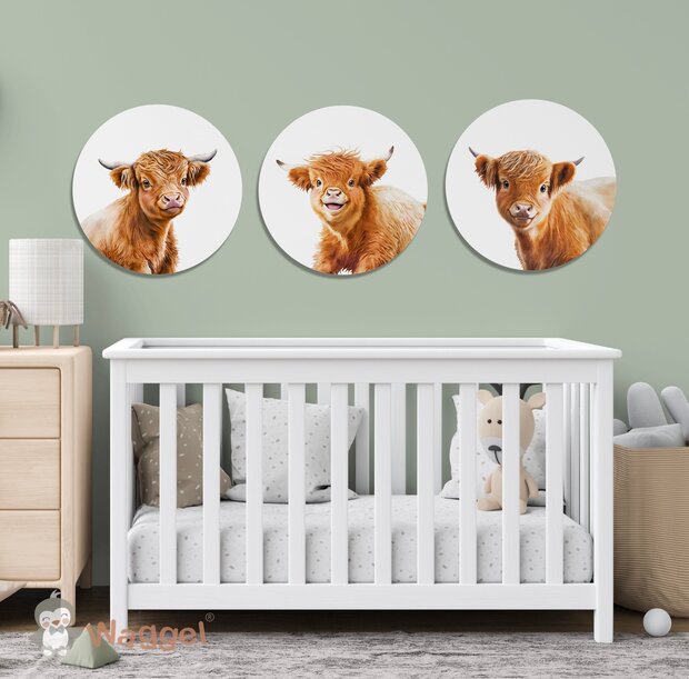 schotse hooglander muurcirkels