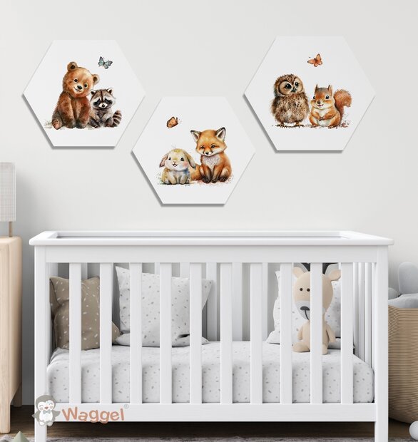 Hexagon set Magic Forest