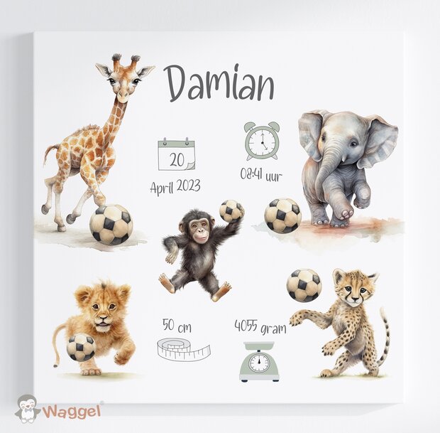 Geboorteschilderij Jungle Ball