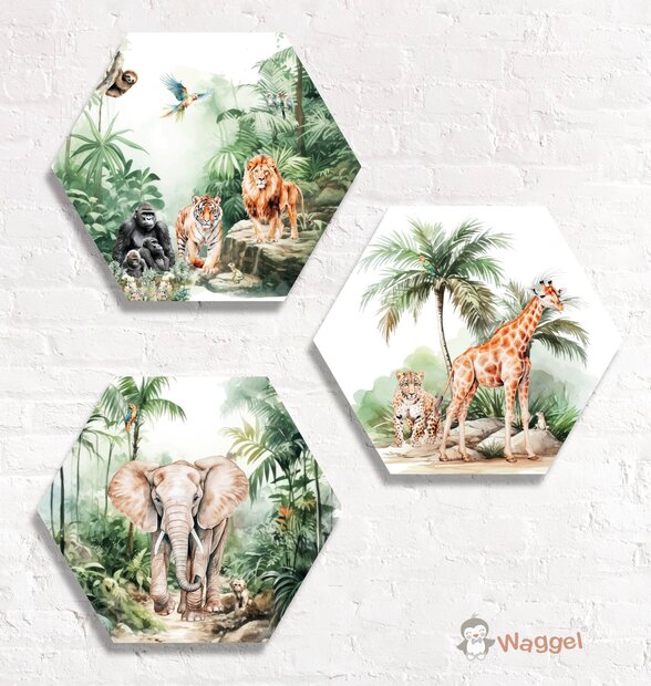 Hexagon set Tropical jungle forest