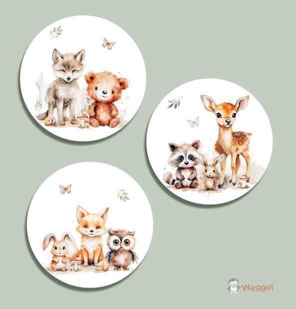 bosdieren muurcirkels