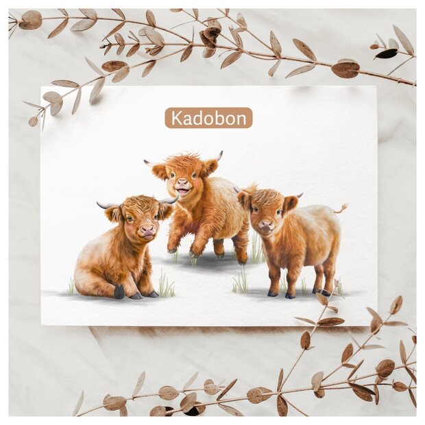 schotse hooglanders kadobon