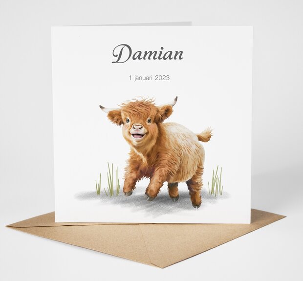 schotse hooglander geboortekaartje