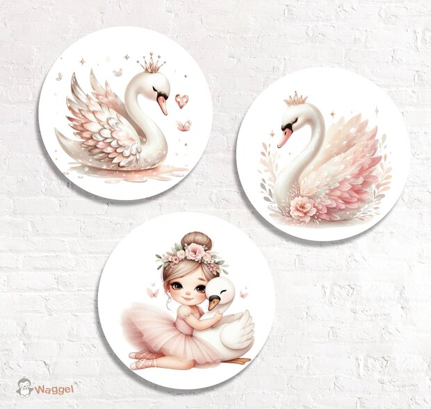 ballerina muurcirkels