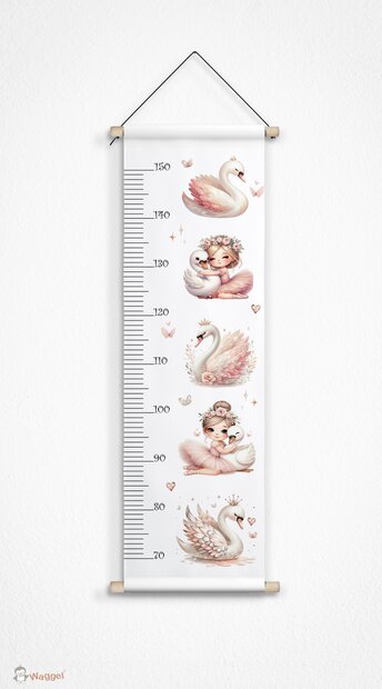 Ballerina groeimeter