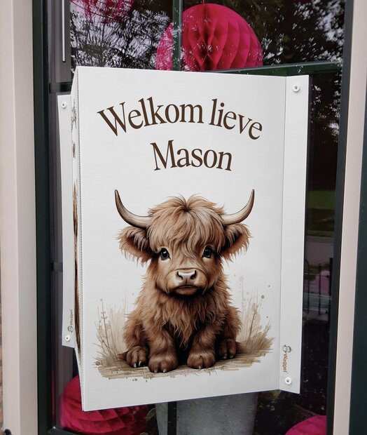 Geboortebord raam Schotse hooglander