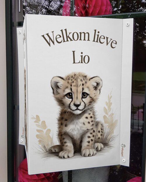 Geboortebord raam Jungle naturel cheetah
