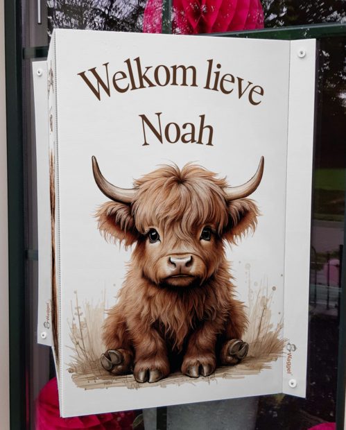 Geboortebord raam Boerderijdieren naturel Schotse hooglander 