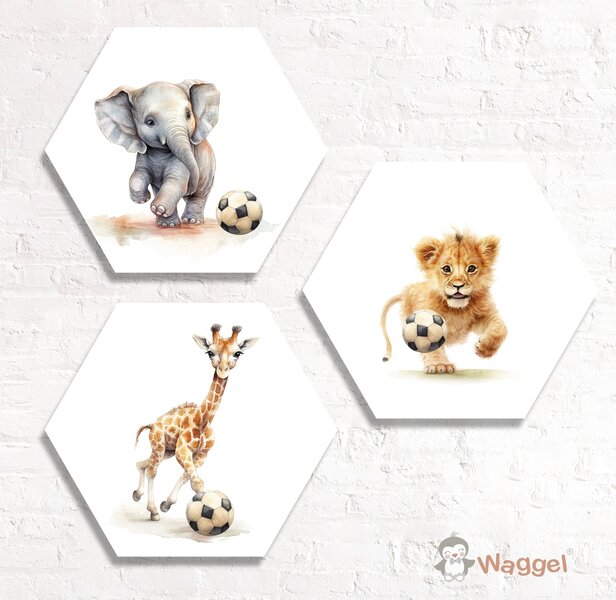 Hexagon set Jungle Ball olifant, leeuw en giraf