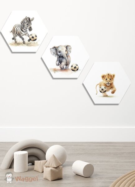 Hexagon set Jungle Ball zebra, olifant en leeuw