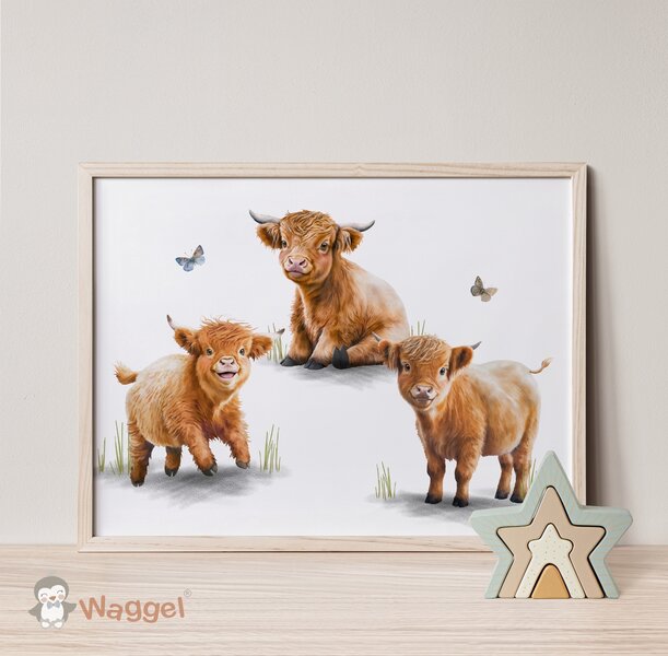 Poster Schotse Hooglanders 70x50 cm