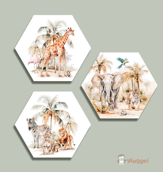 Hexagon set Tropical jungle