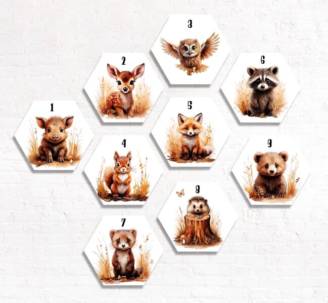 Hexagon set van 3 bosdieren naturel