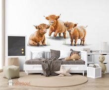 schotse hooglander behang