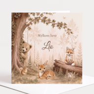 Geboortekaarten Dreamy Woodland 