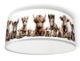 Plafondlamp boerderijdieren naturel