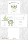 Geboortekaartje dino