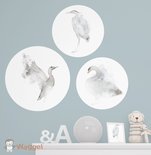 Muurcirkel set dierenrijk vogels
