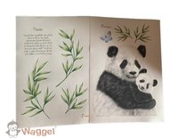 Muursticker beestenboel panda's