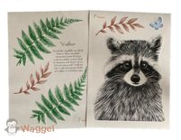 Muursticker beestenboel wasbeer