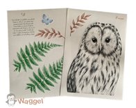 Muursticker beestenboel uil
