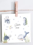 Geboortekaartje diep in de zee