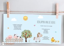 Geboortekaartje kiekeboe boerderijdieren