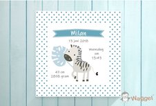 Geboortecanvas zebra Geboortecanvas zebra