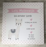Geboortecanvas alpaca Geboortecanvas alpaca