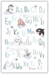 ABC poster Noordpool vriendjes ABC poster Noordpool vriendjes
