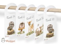 Set maatverdelers dierenrijk Set maatverdelers dierenrijk