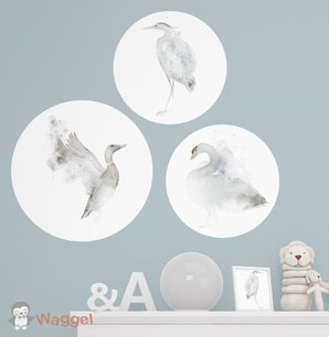 Muurcirkel set dierenrijk vogels Muurcirkel set dierenrijk vogels