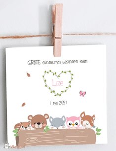 Geboortekaartje kiekeboe bosdieren Geboortekaartje kiekeboe bosdieren