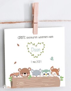 Geboortekaartje kiekeboe bosdieren Geboortekaartje kiekeboe bosdieren