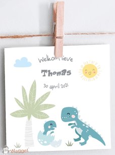 Geboortekaartje dino’s Geboortekaartje dino’s