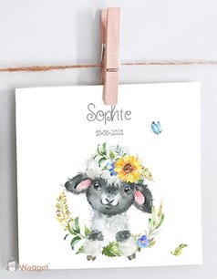 Geboortekaartje boerderijvriendjes Geboortekaartje boerderijvriendjes