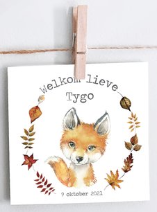 Geboortekaartje bosvriendjes Geboortekaartje bosvriendjes