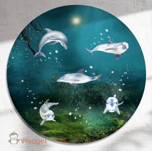 Muurcirkel deep in the sea dolphins Muurcirkel deep in the sea dolphins