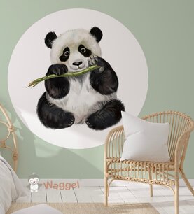 Muurcirkel panda Muurcirkel panda