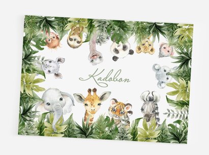 Kadobon jungle Kadobon jungle