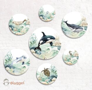 Muurcirkel set Ocean Muurcirkel set Ocean