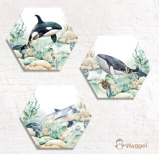 Hexagon set Ocean Hexagon set Ocean