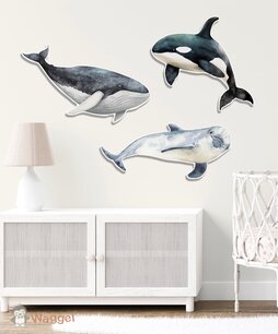 Ocean forex set van 3 Ocean forex set van 3