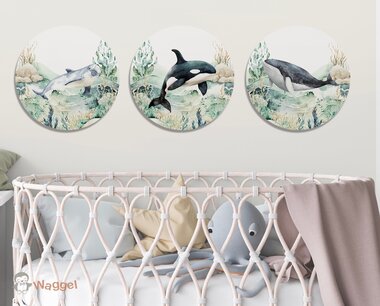 Muurcirkel set Ocean Muurcirkel set Ocean
