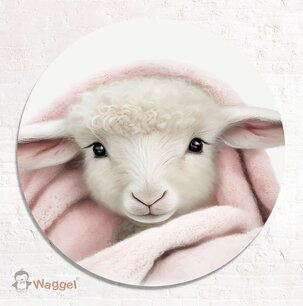 Muurcirkel Sweet dreams lammetje Muurcirkel Sweet dreams lammetje
