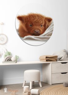 Muurcirkel Sweet dreams Schotse hooglander Muurcirkel Sweet dreams Schotse hooglander
