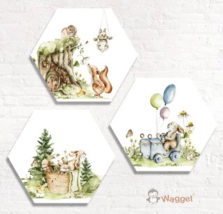 Hexagon set 1 Forest of Dreams Hexagon set 1 Forest of Dreams