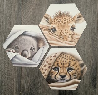 Hexagon dibond set slaap zacht cheetah, giraf en koala Hexagon dibond set slaap zacht cheetah, giraf en koala